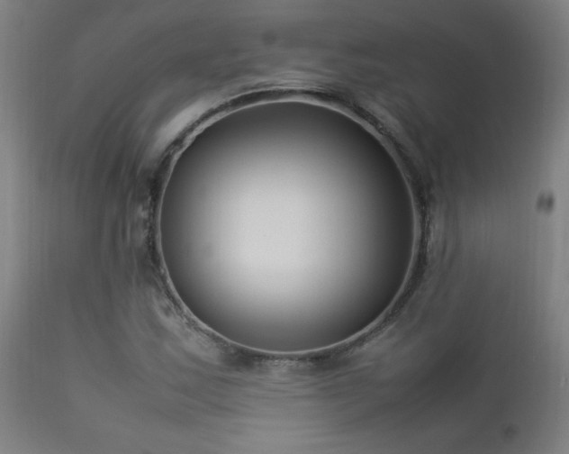 X0000112871163200908211419