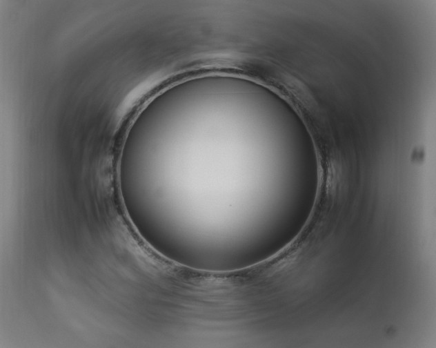 X0000112871164200908211419