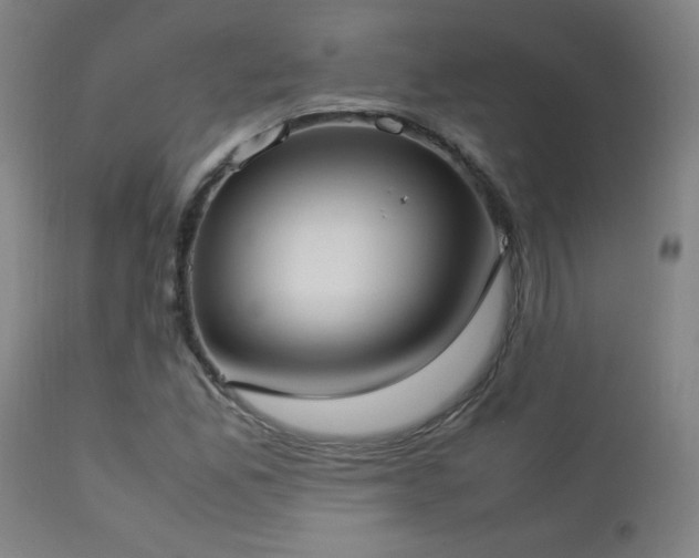 X0000112871165200908211419