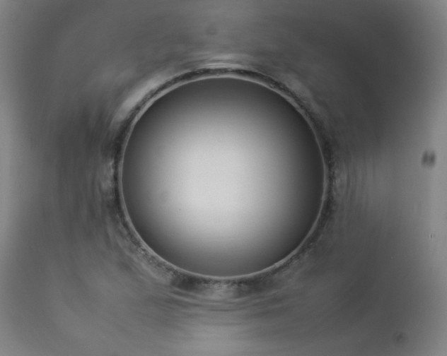 X0000112871167200908211419