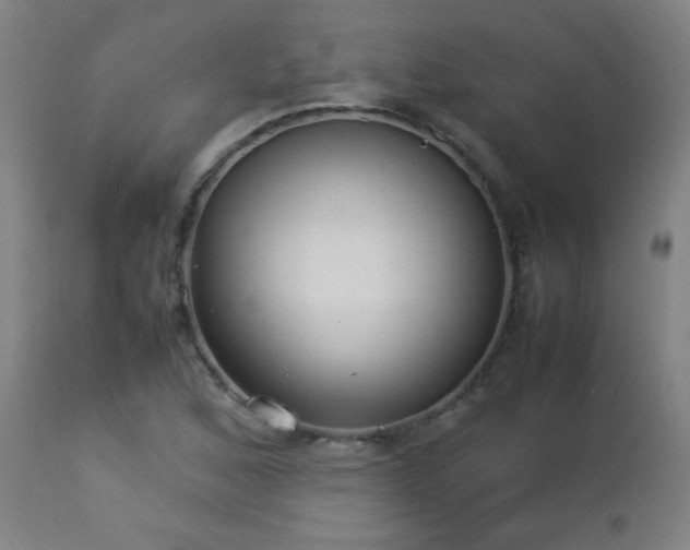 X0000112871168200908211419