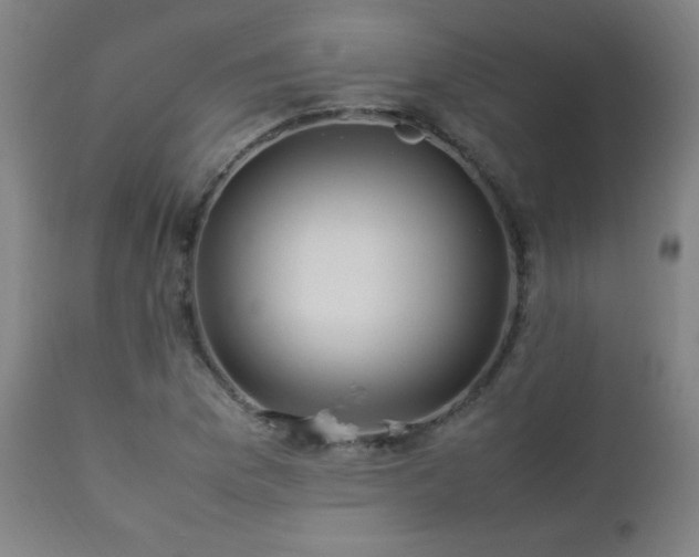 X0000112871169200908211419
