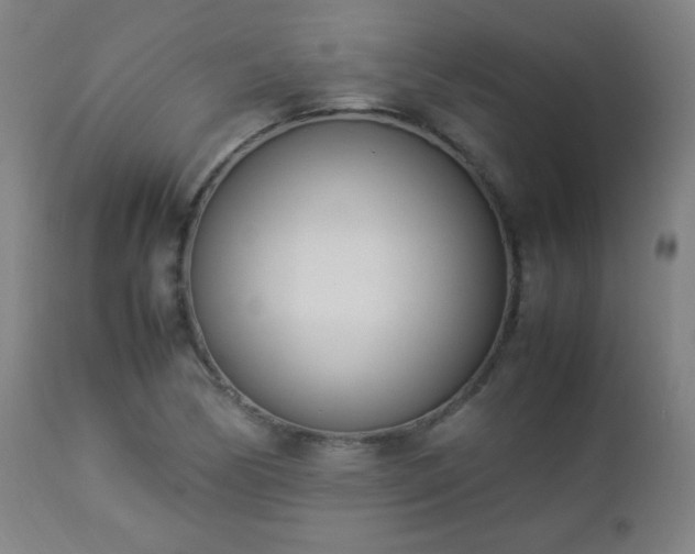 X0000112871170200908211419