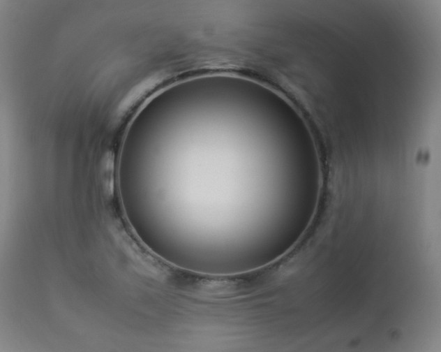 X0000112871171200908211419