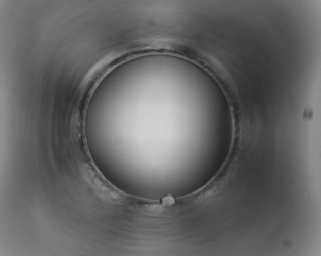 X0000112871172200908211419