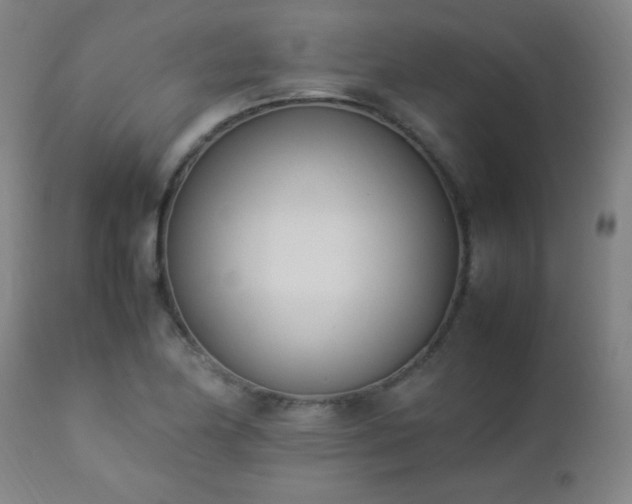 X0000112871174200908211419