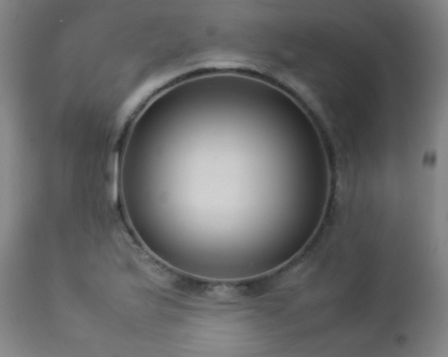 X0000112871175200908211419