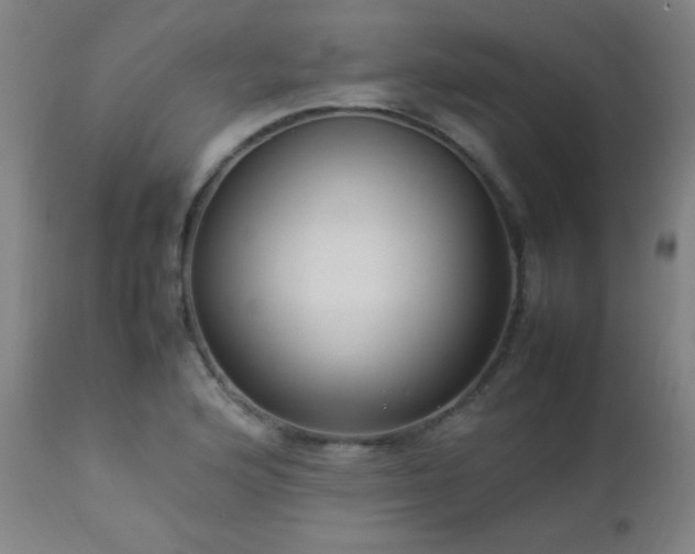 X0000112871176200908211419
