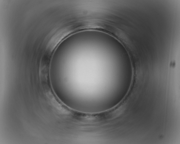 X0000112871177200908211419