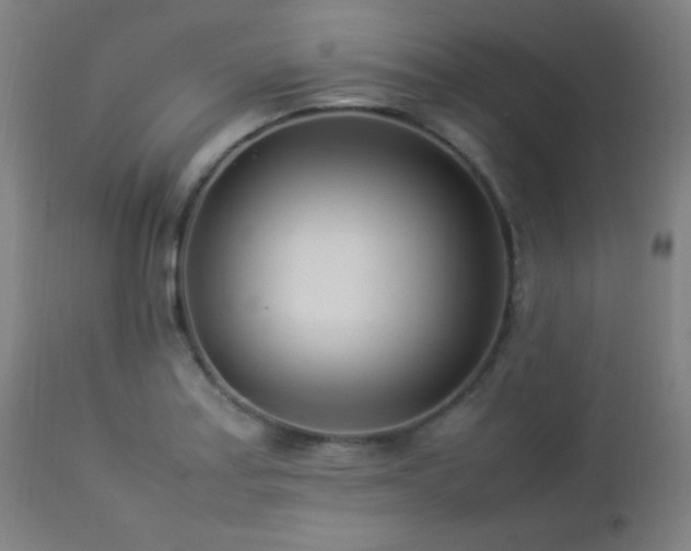 X0000112871179200908211419
