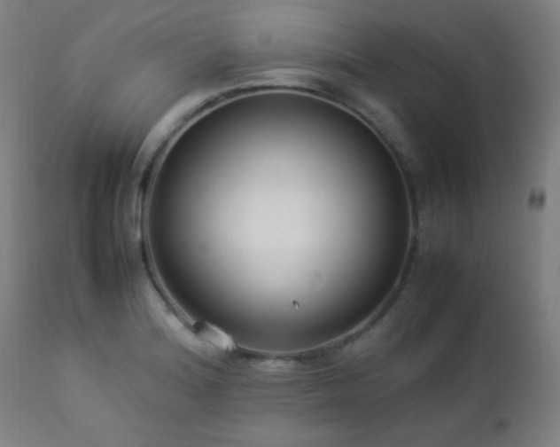 X0000112871180200908211419