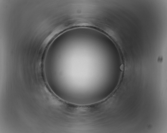 X0000112871181200908211419