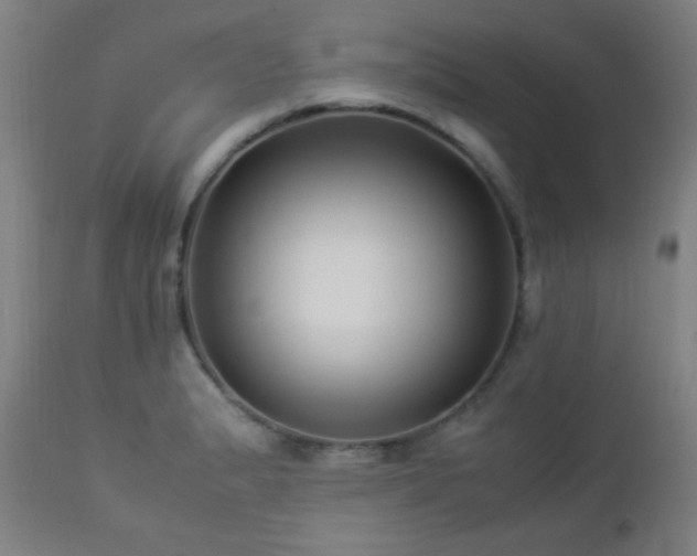 X0000112871183200908211419