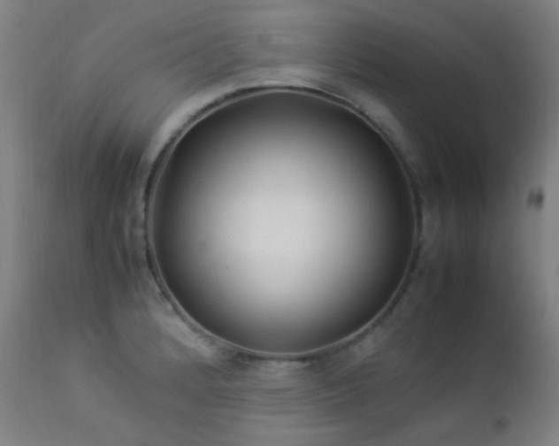 X0000112871184200908211419