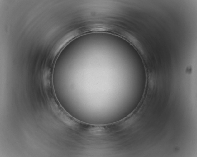 X0000112871186200908211419