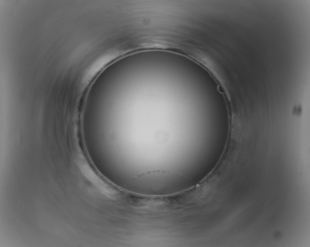 X0000112871187200908211419