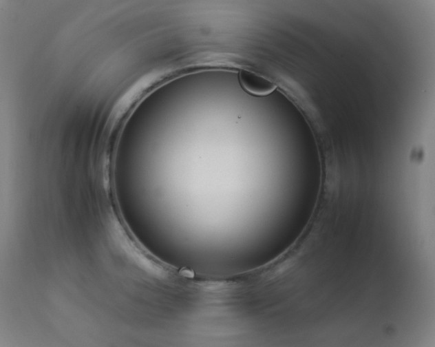 X0000112871188200908211419