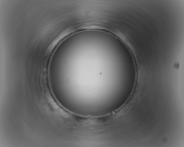 X0000112871189200908211419