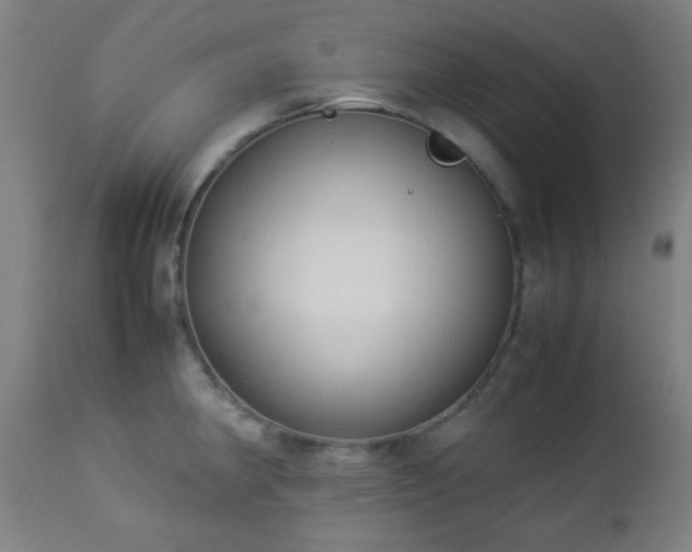 X0000112871190200908211419