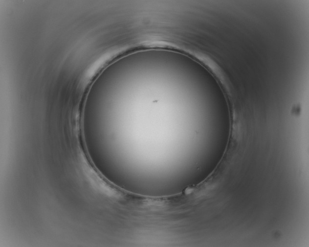 X0000112871191200908211419