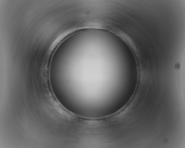 X0000112871192200908211419