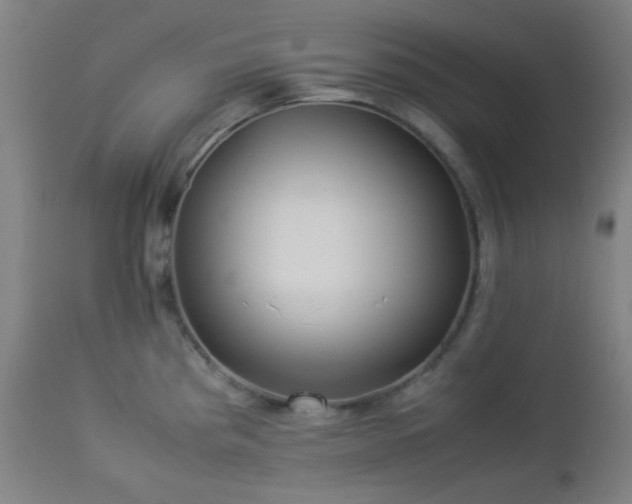 X0000112871193200908211419
