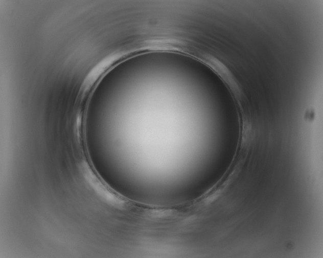 X0000112871196200908211419