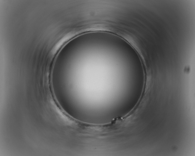 X0000112871197200908211419