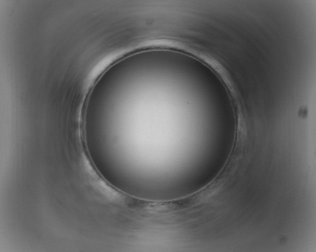 X0000112871199200908211419
