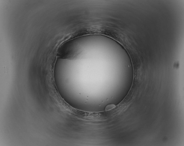 X0000112871201200908211418