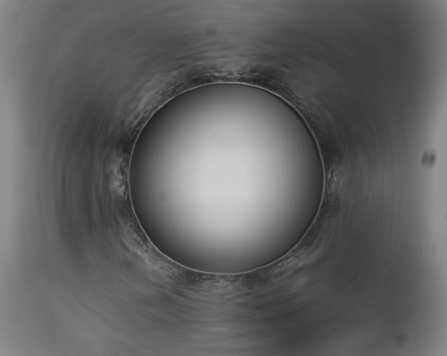 X0000112871202200908211418