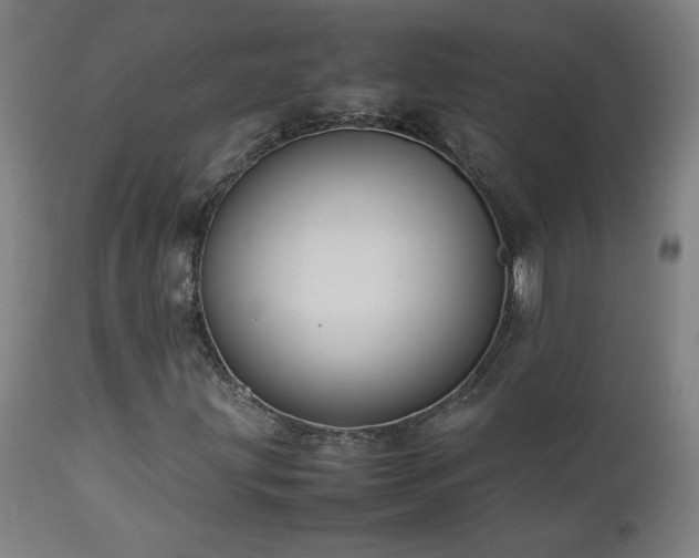 X0000112871203200908211418