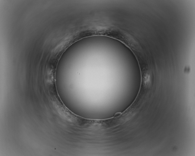 X0000112871204200908211418