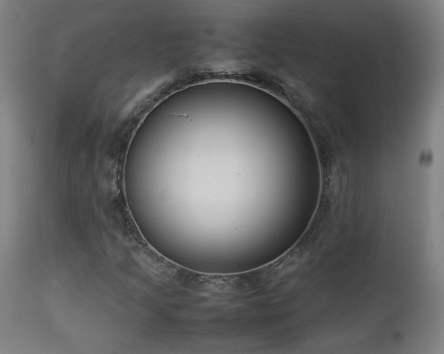 X0000112871205200908211418
