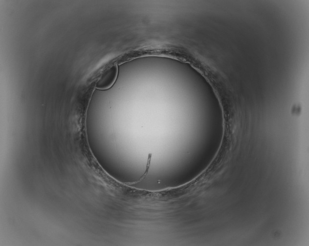 X0000112871206200908211418