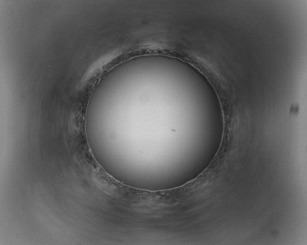 X0000112871207200908211418