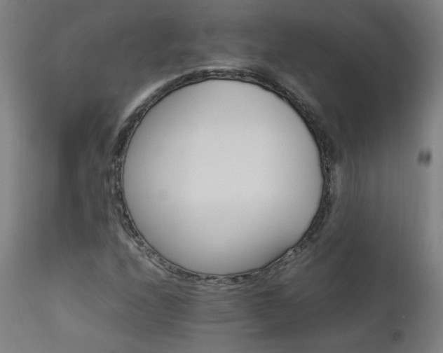 X0000112871208200908211418