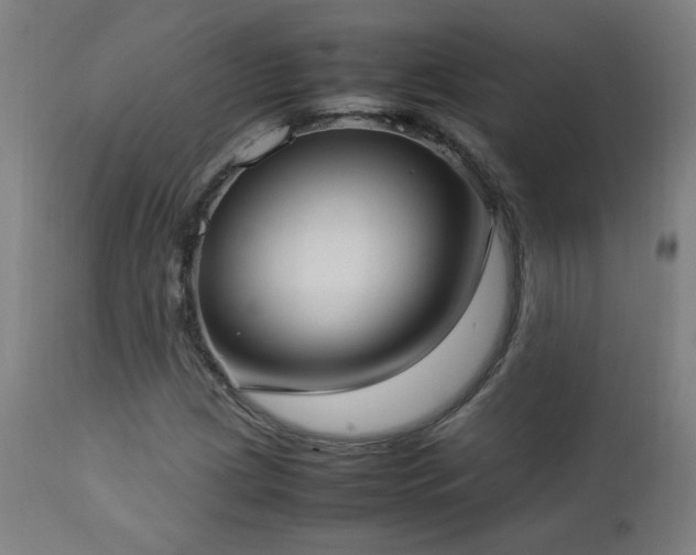 X0000112871209200908211418