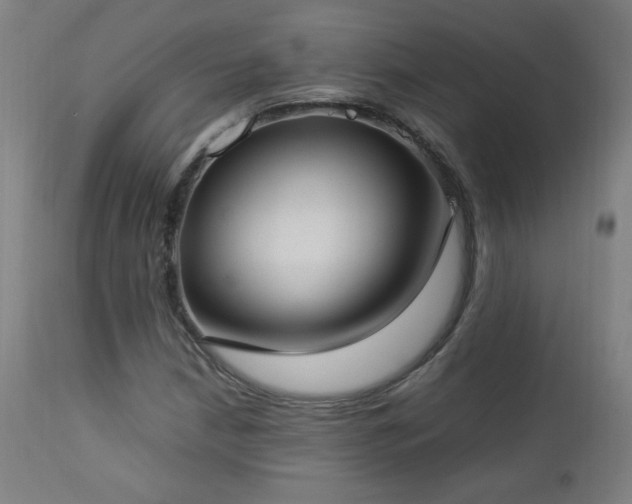 X0000112871210200908211418