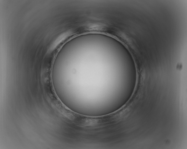 X0000112871211200908211418