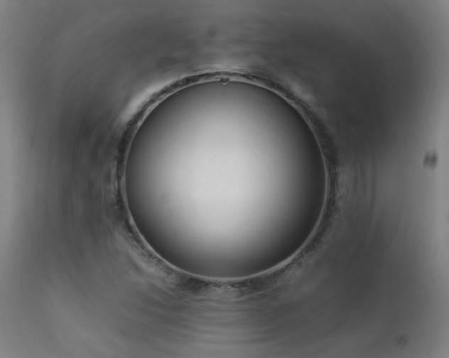 X0000112871214200908211418