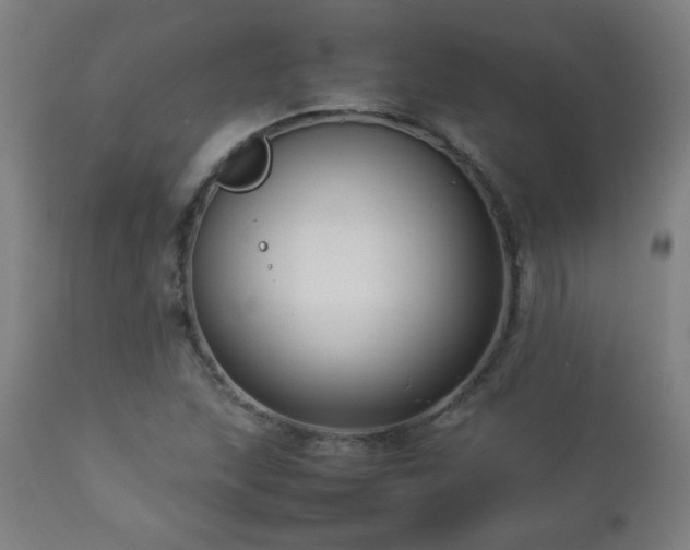 X0000112871215200908211418
