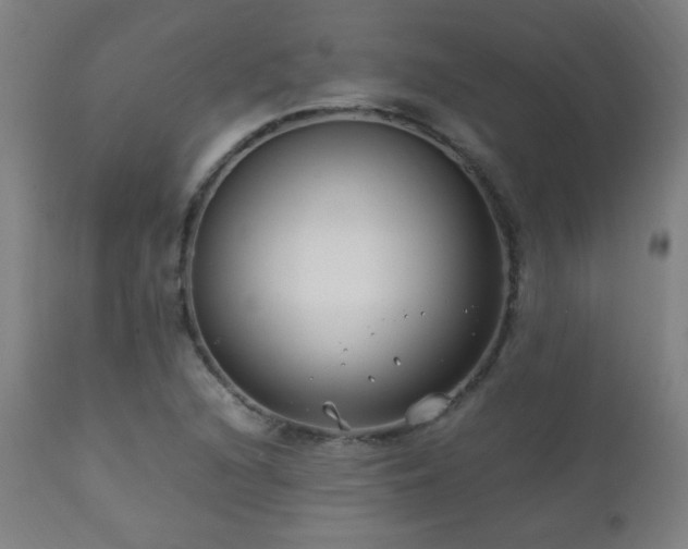 X0000112871216200908211418