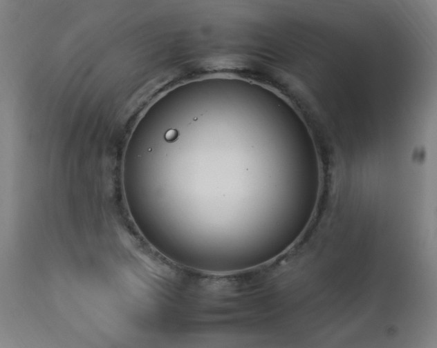 X0000112871217200908211418