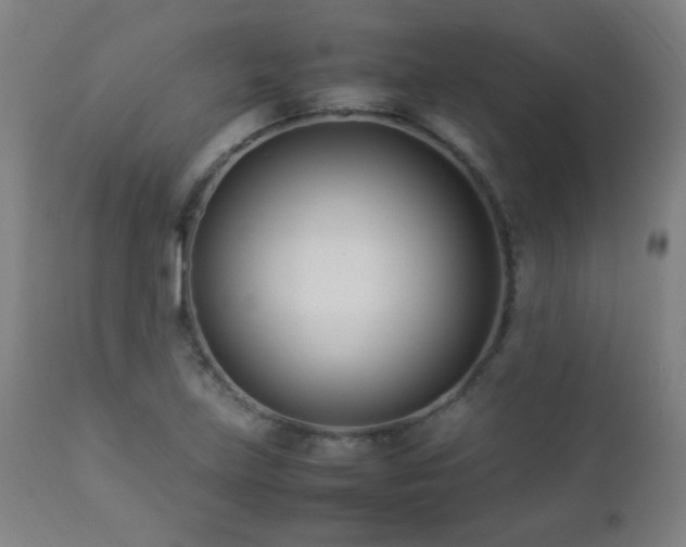 X0000112871219200908211418