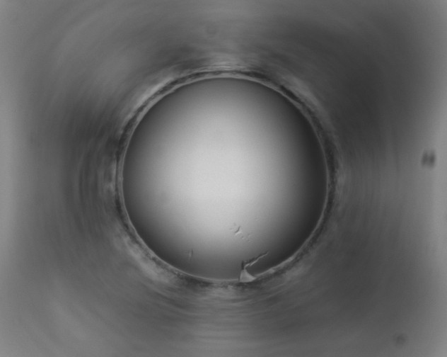 X0000112871220200908211418