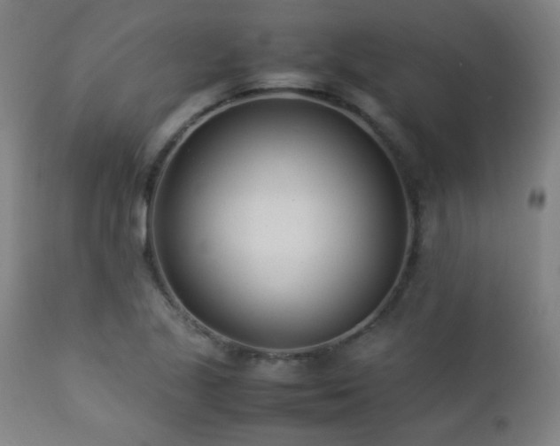 X0000112871221200908211418