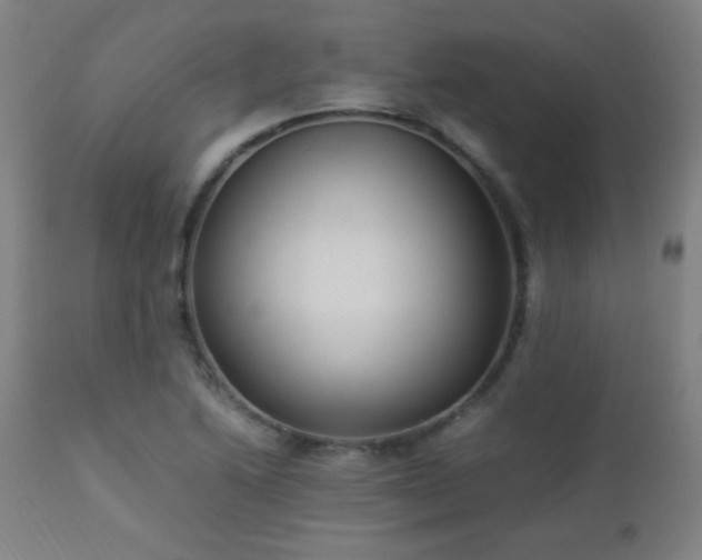 X0000112871222200908211418