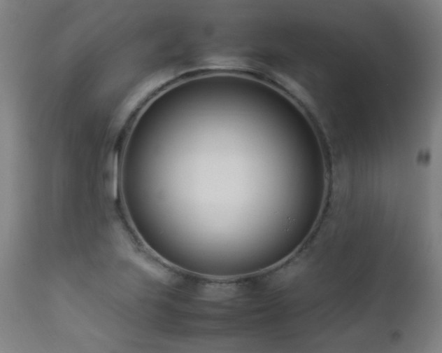 X0000112871223200908211418