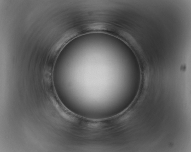 X0000112871225200908211418
